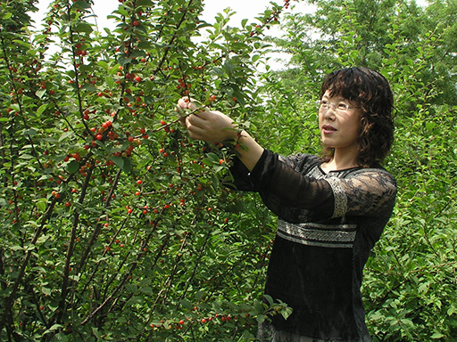 ˵��: http://www.onenight166.com/teacher-info/personal%20info/photo/kongfengjun.JPG